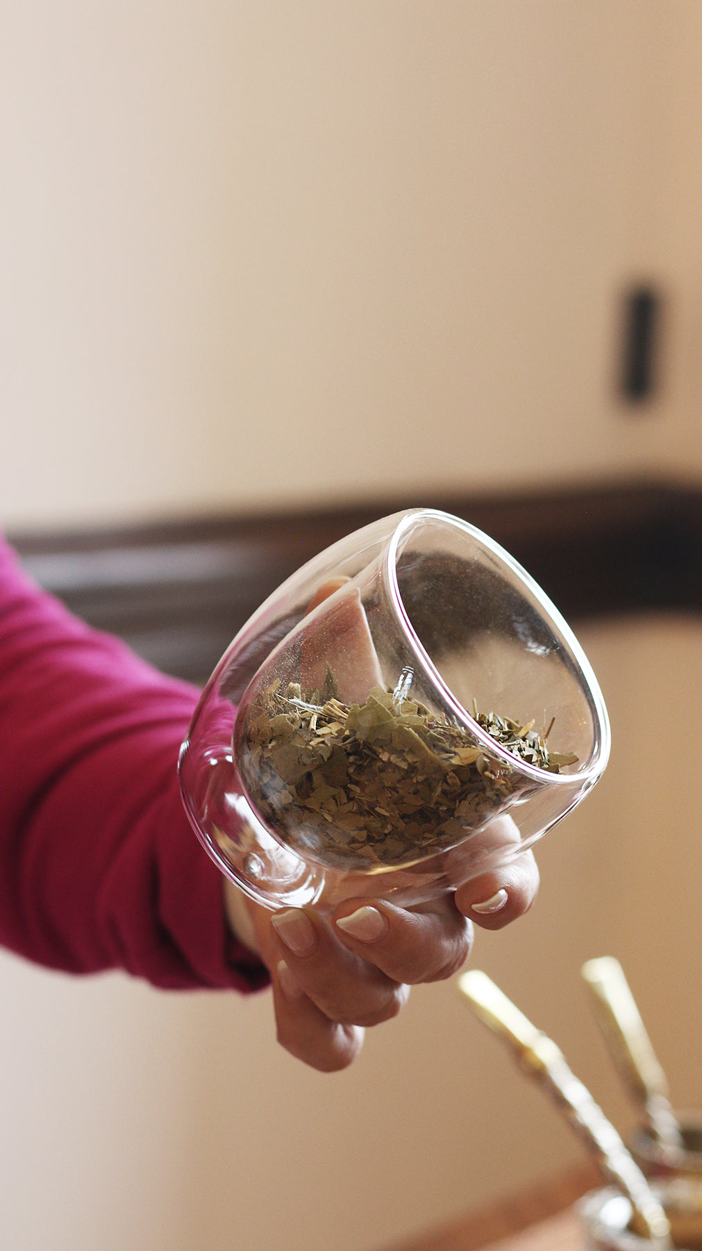 Hand holding a modern double-walled glass mate cup filled with dry yerba mate leaves