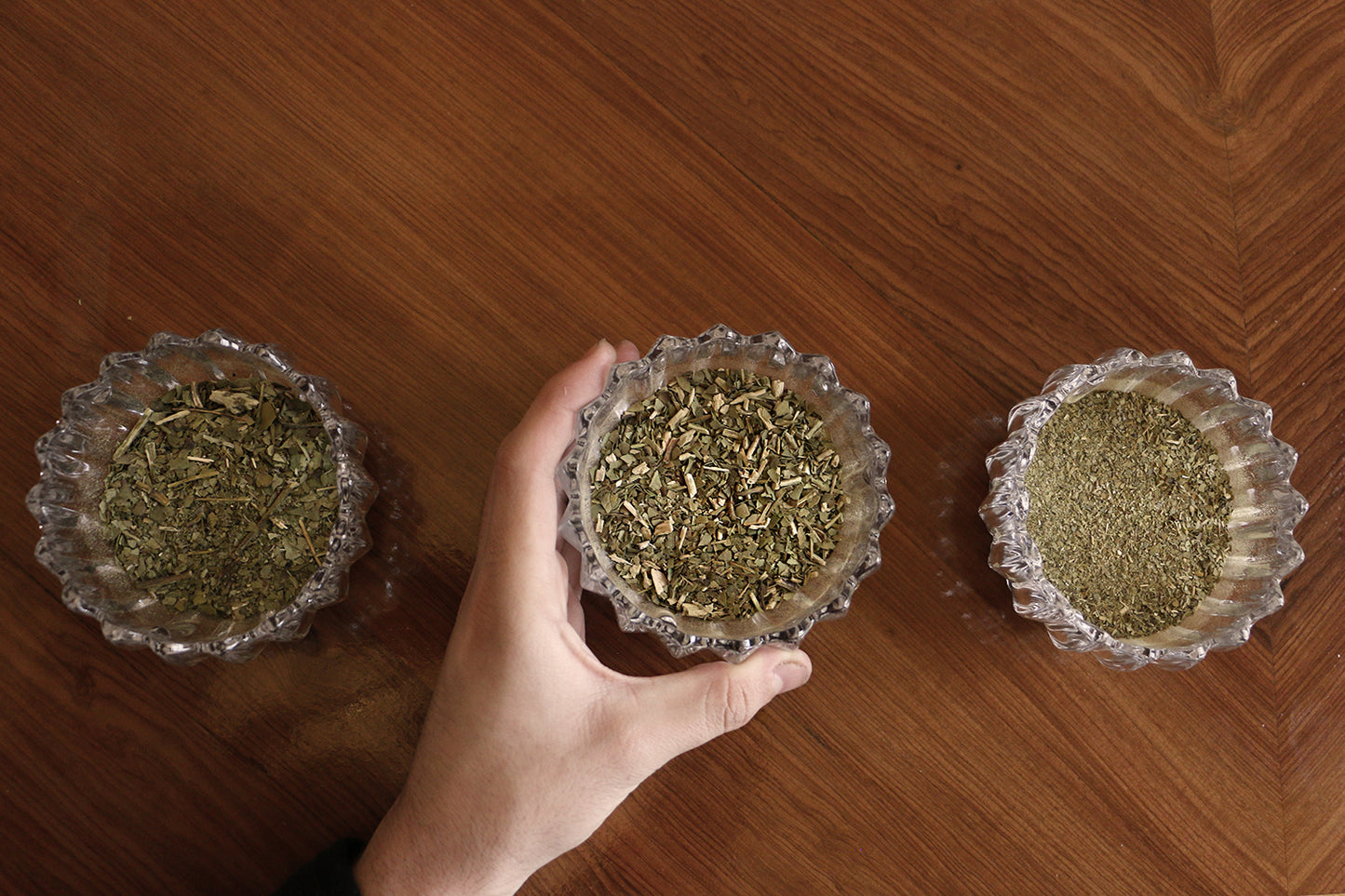 Hand choosing one of three glass bowls of different yerba mate leaf varieties for a tasting, on a wooden surface