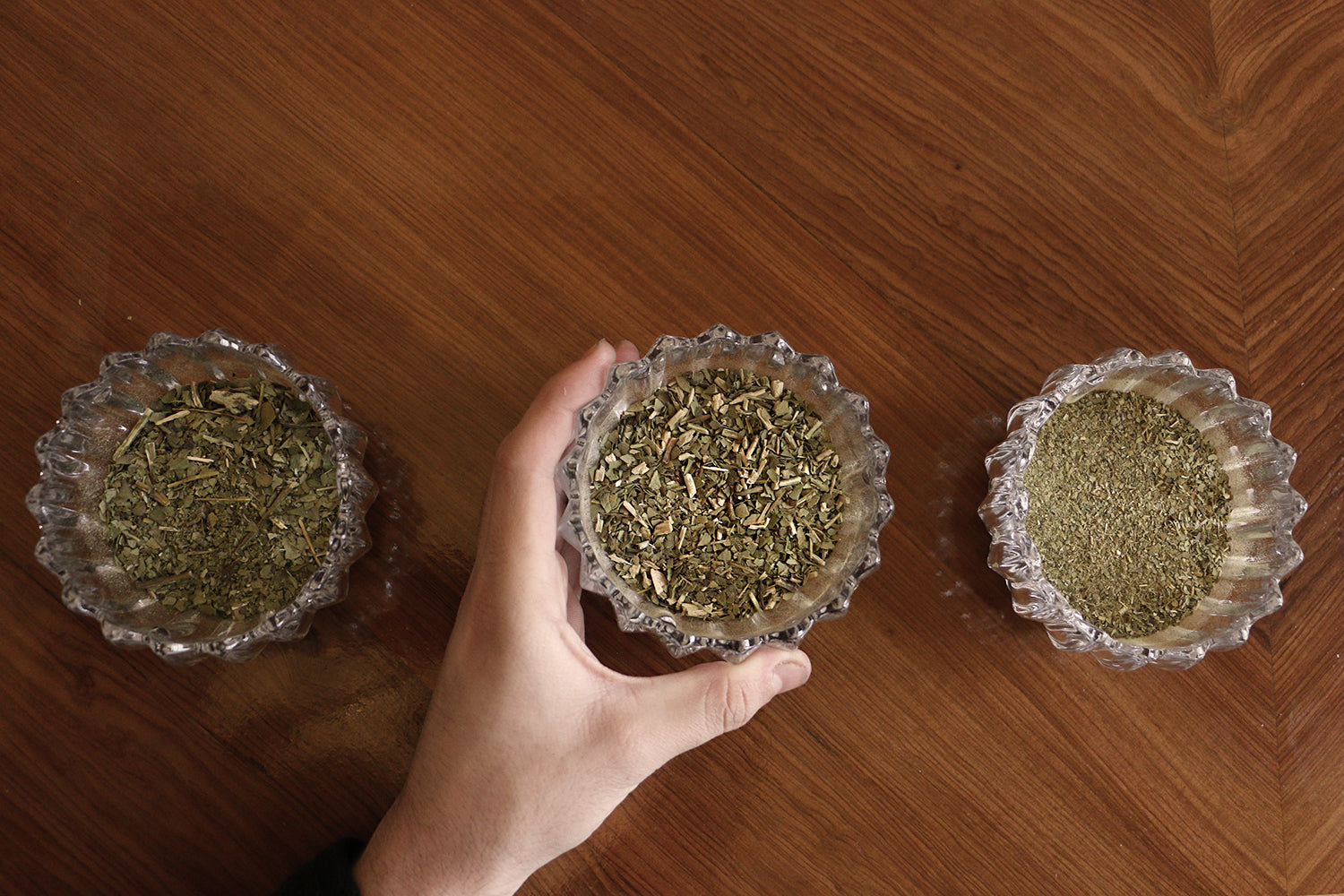 Hand choosing one of three glass bowls of different yerba mate leaf varieties for a tasting, on a wooden surface